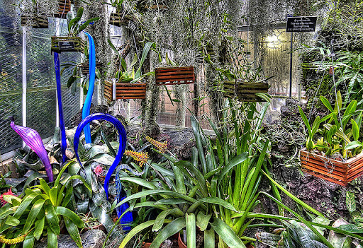 (Menakjubkan) BUKAN TANAMAN BIASA ! (Keren)