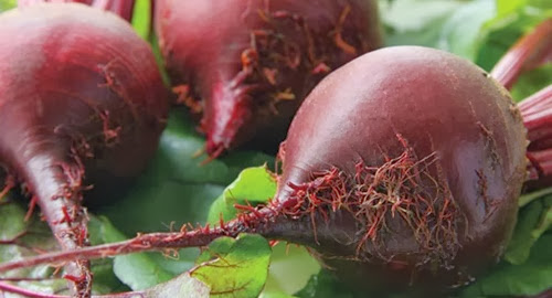 Mengenal Akar Bit / Beetroot serta Manfaatnya