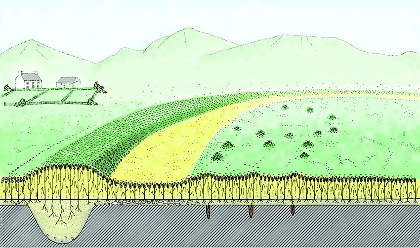 Cropmarks: Bagaimana Cuaca Kering Dapat Mengungkapkan Situs Arkeologi Tersembunyi