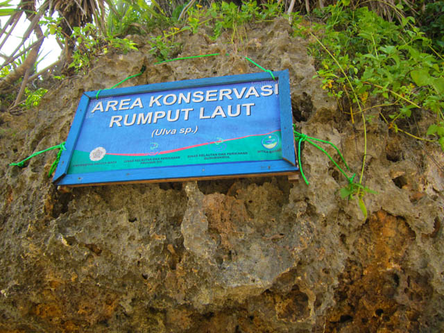 Pesona Alam Pantai Kukup Yogyakarta