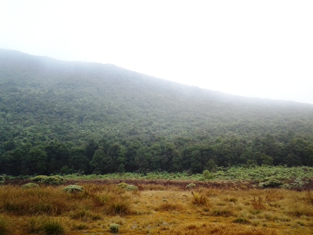 &#91;Travelista&#93; Dinginnya Kentut Papandayan