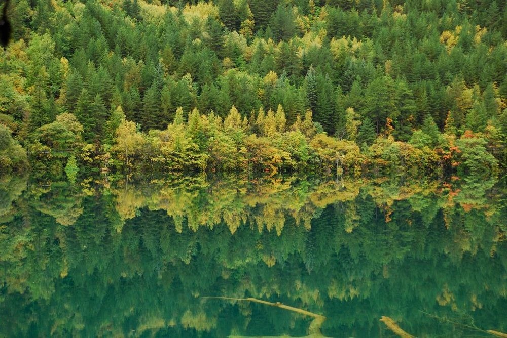 Danau Alpine Dan Air Terjun Jiuzhaigou