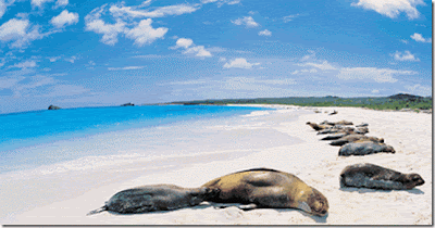 GALAPAGOS ! Salah satu situs warisan dunia !