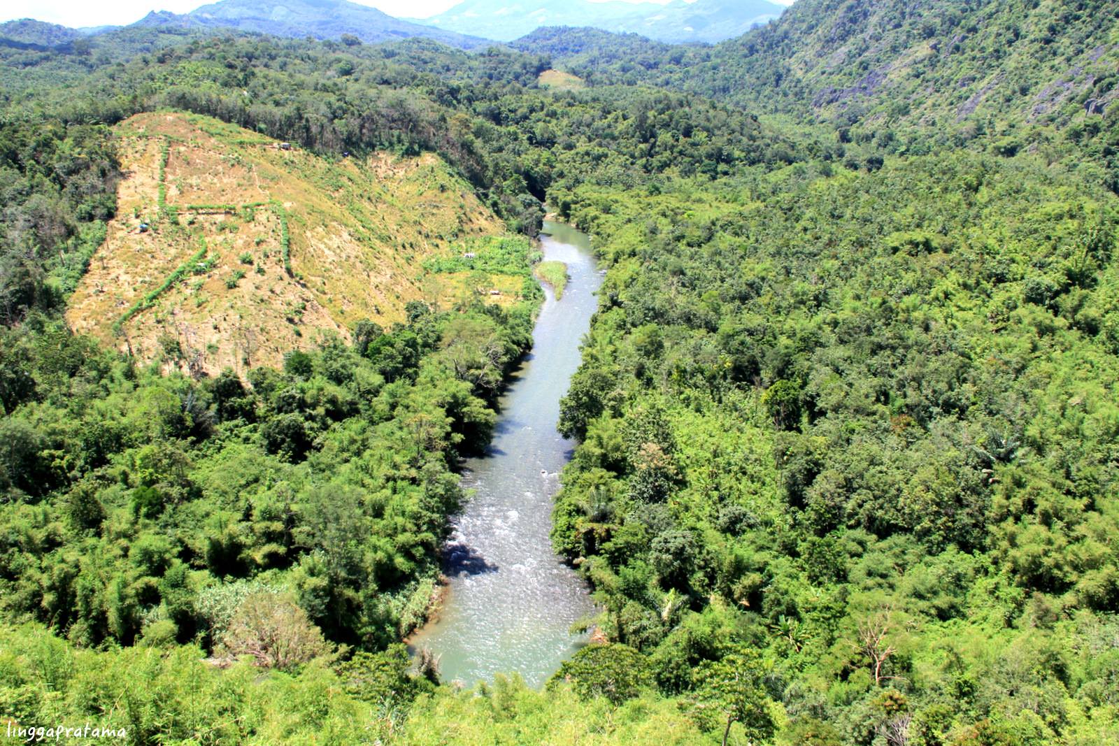 9 Tempat Wisata yang Harus Kamu Kunjungi di Kalimantan!