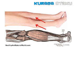 Pengalaman Nocturnal Leg Cramps