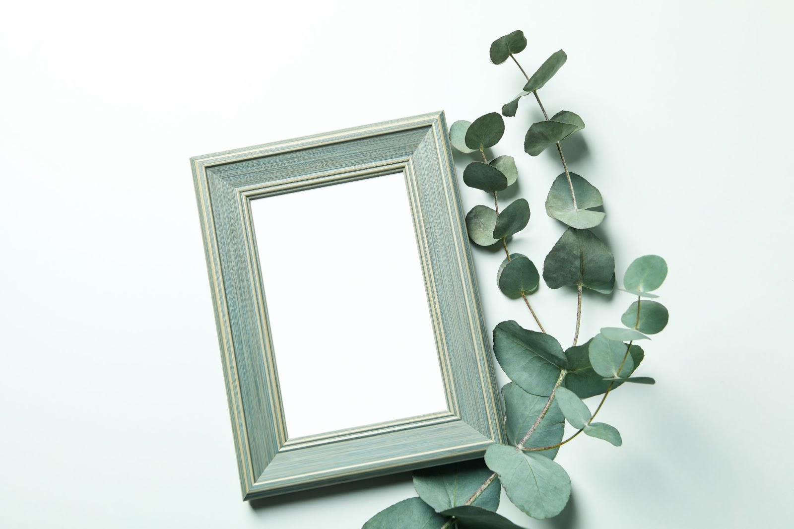 Kenapa harus Membeli Minyak Kayu Putih Yang ada Kandungan Eucalyptusnya 