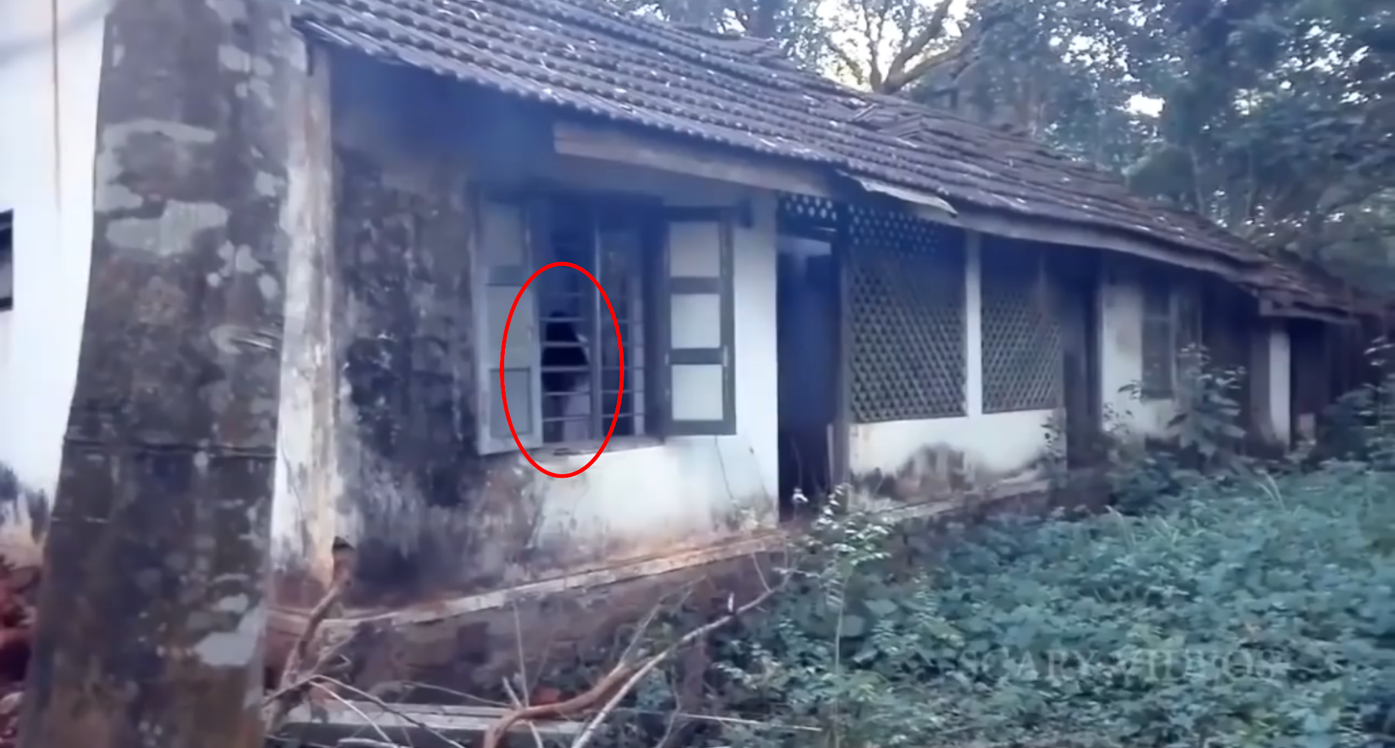 FOTO + VIDEO 10 PENAMPAKAN HANTU PALING JELAS PART 1