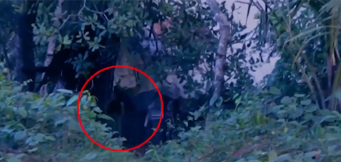 FOTO + VIDEO 10 PENAMPAKAN HANTU PALING JELAS PART 1