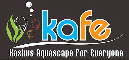 Aquascape for everyone &#91;Learning and Sharing&#93; - Part 1