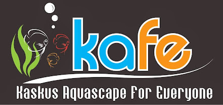 Aquascape For Everyone Part 4 Kaskus