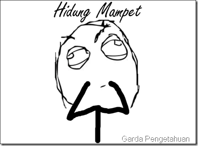 cara menghilangkan hidung mampet