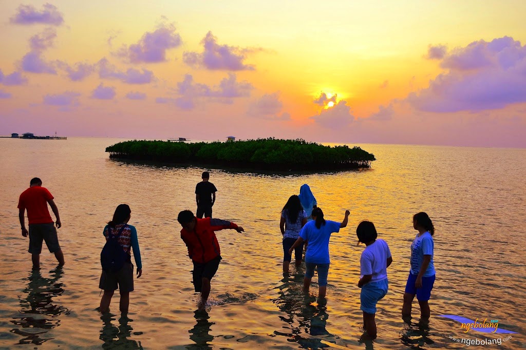 Pulau Harapan