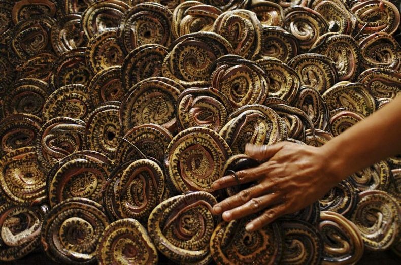 PABRIK KULIT ULAR DI INDONESIA (JAWA BARAT) &#91;+PIC&#93; (SUMBER : WEBSITE LUAR NEGRI)