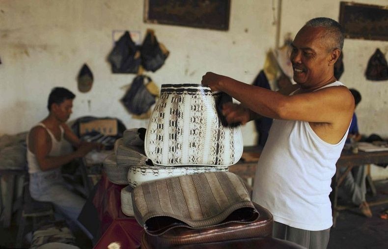 PABRIK KULIT ULAR DI INDONESIA (JAWA BARAT) &#91;+PIC&#93; (SUMBER : WEBSITE LUAR NEGRI)