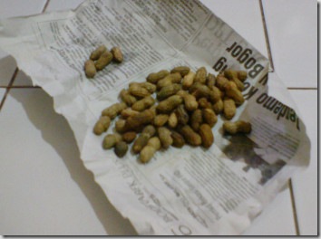 the-big-family-of-kalong-malam-revolutions---part-15