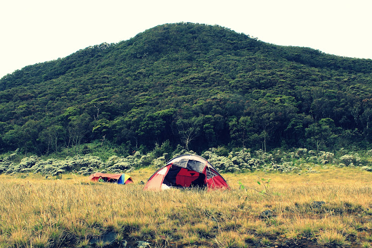 GUNUNG GEDE GUNUNG PENDAKIAN PERTAMA YANG SEDIKIT MISTIS