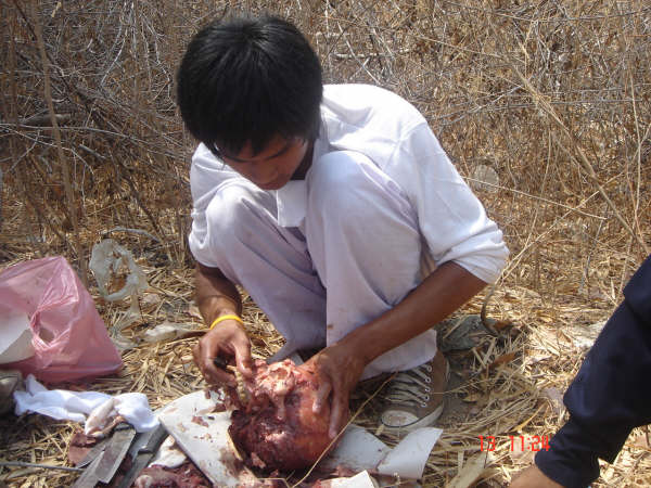 Foto Pengolahan Daging Manusia Menjadi Makanan (18+)