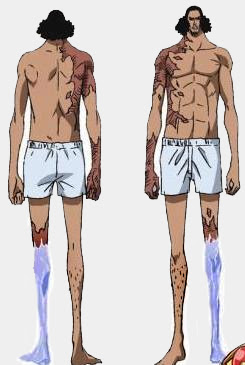 Siasat Cerdik Aokiji Untuk Join Bajak Laut Jahat, Shirohige ???