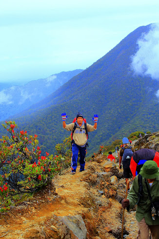 GUNUNG GEDE GUNUNG PENDAKIAN PERTAMA YANG SEDIKIT MISTIS