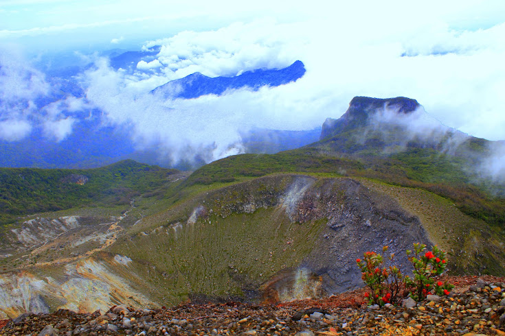 GUNUNG GEDE GUNUNG PENDAKIAN PERTAMA YANG SEDIKIT MISTIS