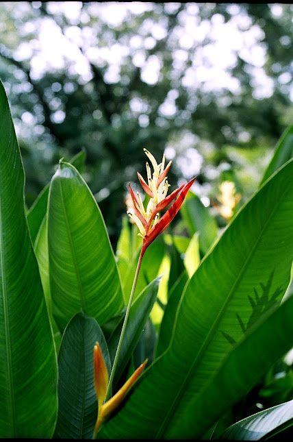 nongkrong-bareng-analog---film-camera---part-4