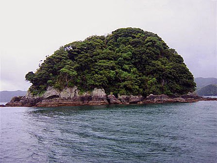 Jepang Jual 5 Pulau Kosong Tak Berpenghuni