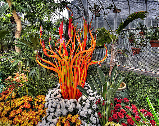 (Menakjubkan) BUKAN TANAMAN BIASA ! (Keren)