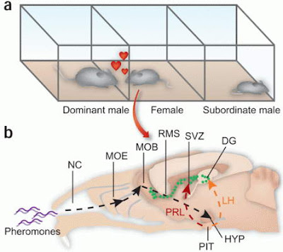10 Senjata Unik gan!