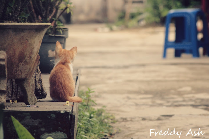 nongkrong-bareng-yang-masih-amatiran-dan-newbie---part-4