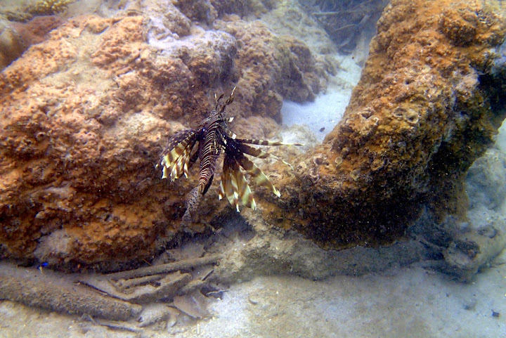Trip Report : Pesona Pulau Legundi dan Teluk Kiluan. Full Picture!
