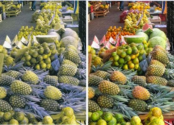 10 Penyakit dan Gangguan Pada Mata