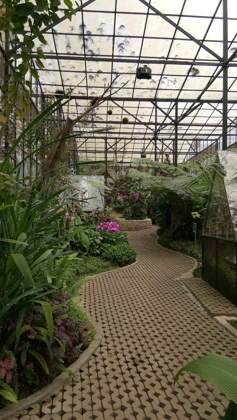 Berikut Spot Spot Menarik di Orchid Forest Lembang