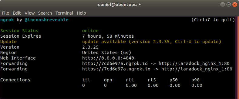 Ngrok x Docker - kasih lihat webapp ke client tanpa hosting
