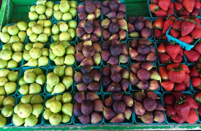 Jenis jenis Tanaman  Hortikultura yang Harus Kamu Tahu KASKUS