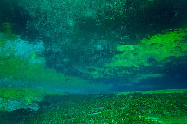 Blue Lake Nelson (New Zealand): Danau Terjernih Di Dunia