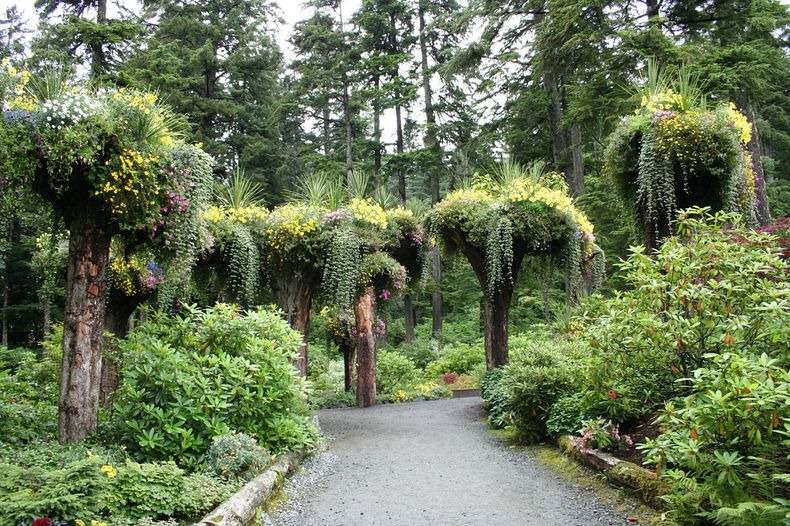 Uniknya, Pepohonan di Taman Cantik Ini Bisa Terbalik!