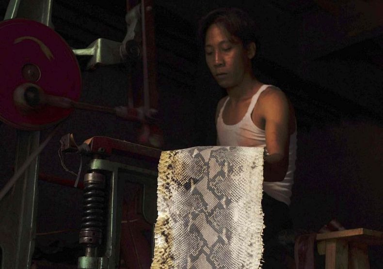 PABRIK KULIT ULAR DI INDONESIA (JAWA BARAT) &#91;+PIC&#93; (SUMBER : WEBSITE LUAR NEGRI)