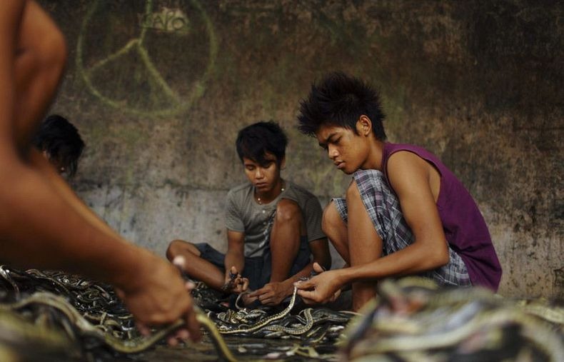 PABRIK KULIT ULAR DI INDONESIA (JAWA BARAT) &#91;+PIC&#93; (SUMBER : WEBSITE LUAR NEGRI)