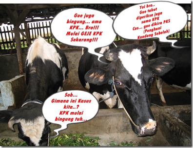&#91;Berita Sapi!!&#93; - KPK Selidiki Mafia Daging Sapi di NTT