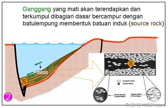 Beginilah Proses Pembentukan Minyak Bumi