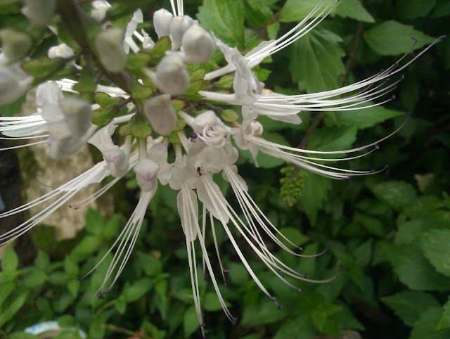 lounge-htc-shift-evo-4g