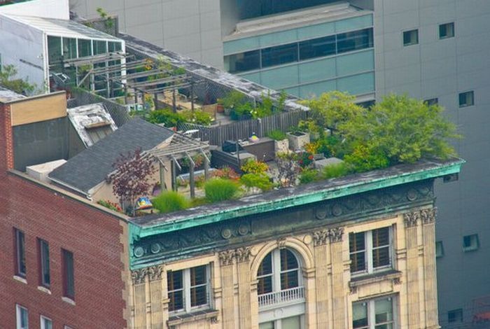 &#91;AMAZING!&#93; Beginilah Bentuk Balkon Apartemen Orang Kaya di Kota New York