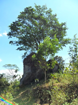 post-image