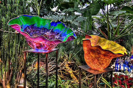 (Menakjubkan) BUKAN TANAMAN BIASA ! (Keren)