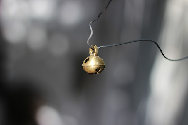 regional-surabaya-forest-v20--sekitarnya---part-4