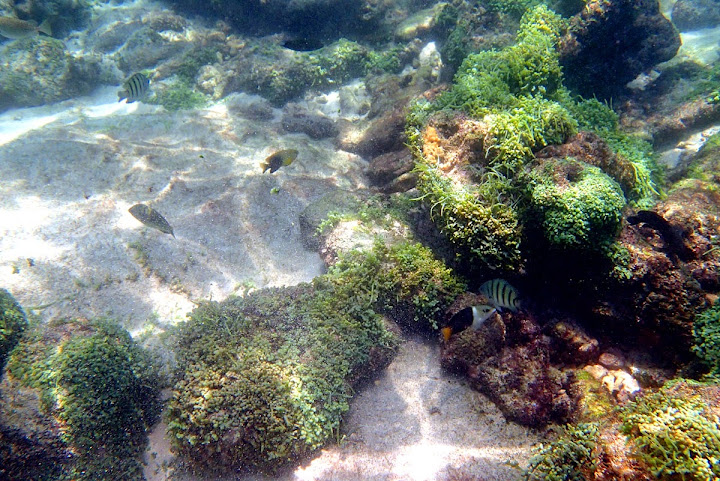 &#91;Full Pic&#93; Bosen Dengan Hiruk Pikuk Weekend Ibukota? Ke Pulau Untung Jawa Aja Gan!