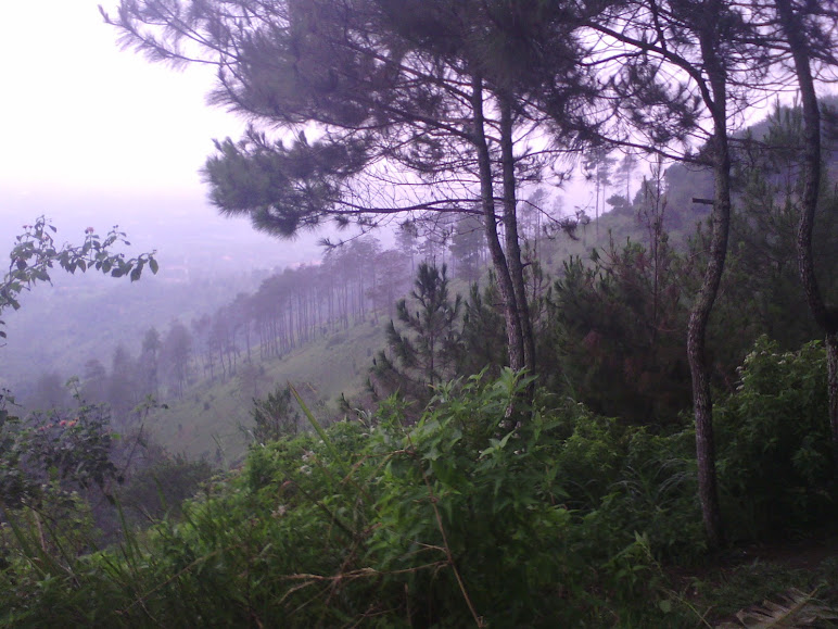 sharing-titik-pendakian-gunung-di-sekitaran-bandung