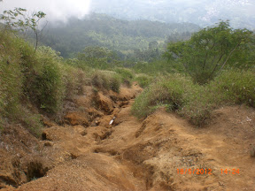 Pendakian Solo, Gunung Sumbing via Garung. Semoga bisa jadi Inspirasi