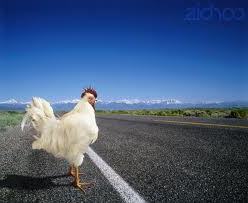 tipe---tipe-orang-kalau-lagi-menyebrang