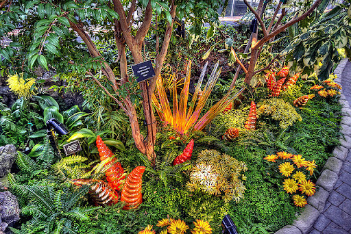 (Menakjubkan) BUKAN TANAMAN BIASA ! (Keren)